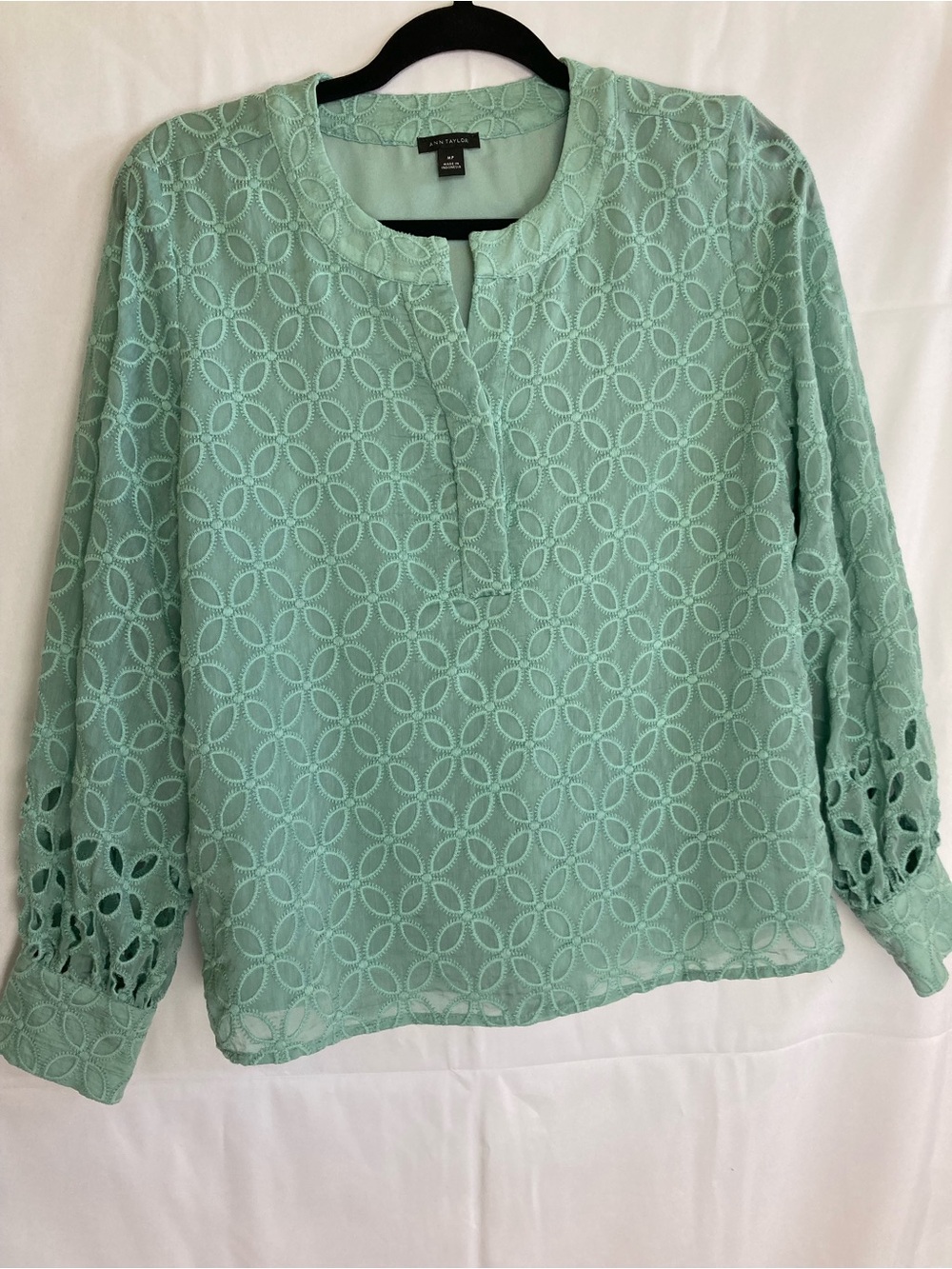 Ann Taylor Mint Green Eyelet Lace Blouse
